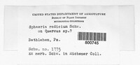 Image Associated With the Occurence